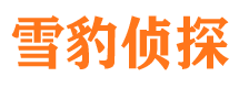 孟村捉小三公司